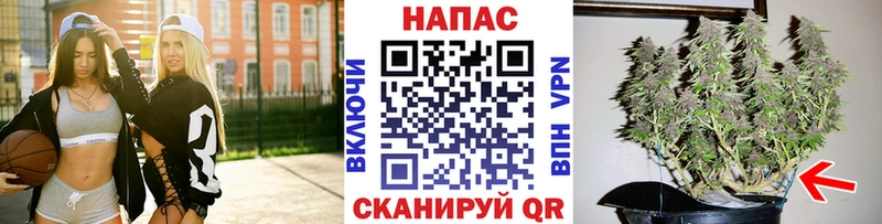 Купить закладку Каннабис МЕФ Купино