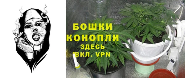 молекула духа Армянск