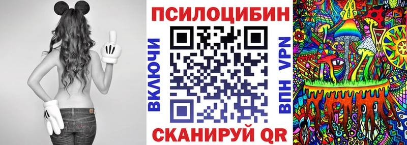 Купить Купино Галлюциногенные грибы Cubensis